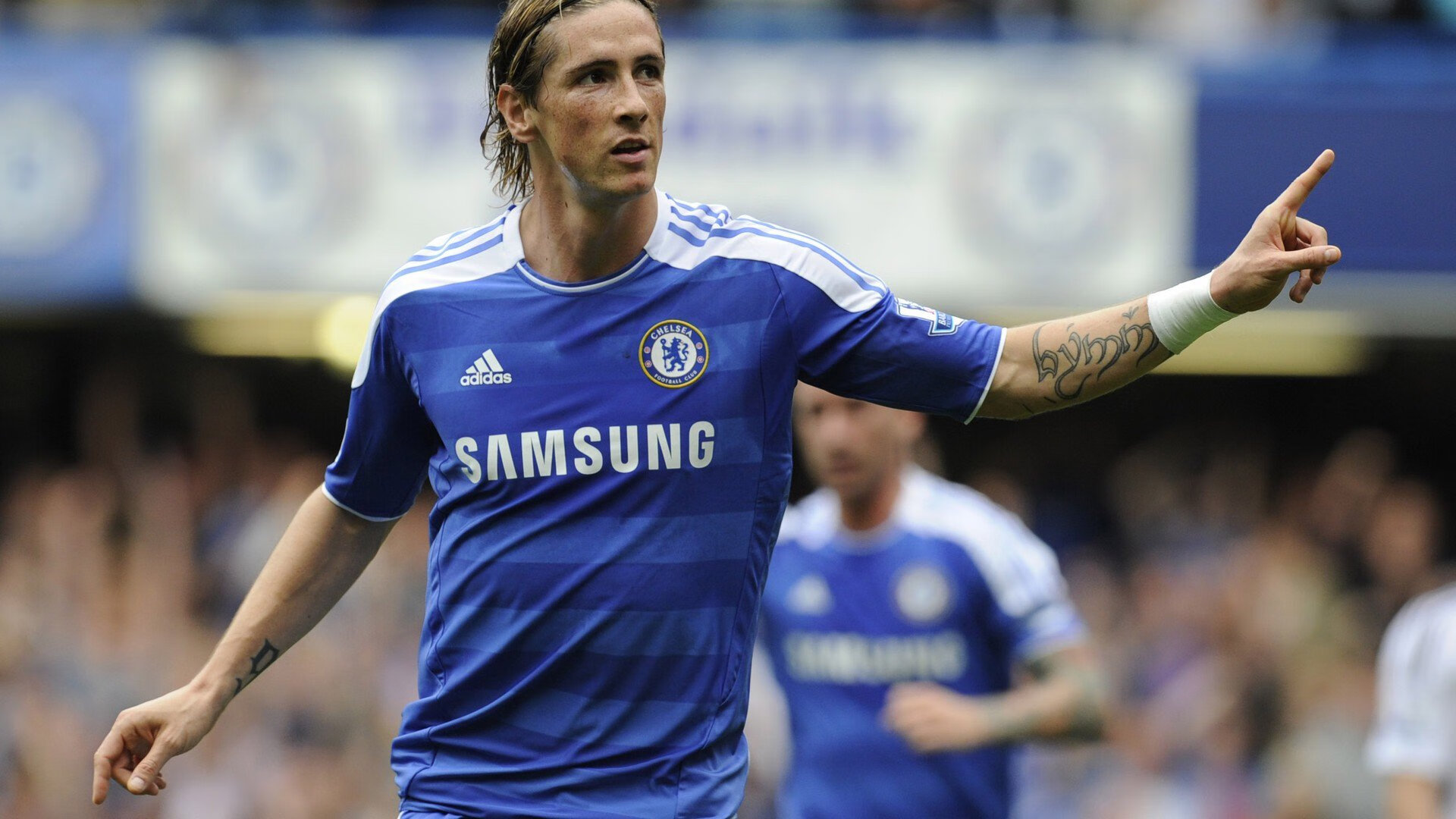 文班亚马，当独角兽在麦迪逊花园咆哮